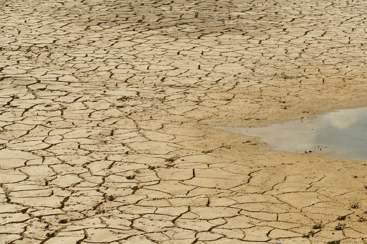 The dangers of dehydration: A holiday safety guide